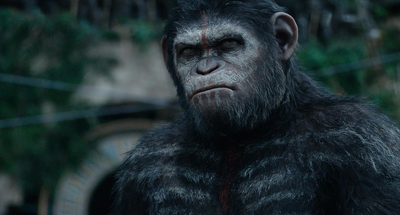 Dawn Of The Planet Of The Apes Download Torrent